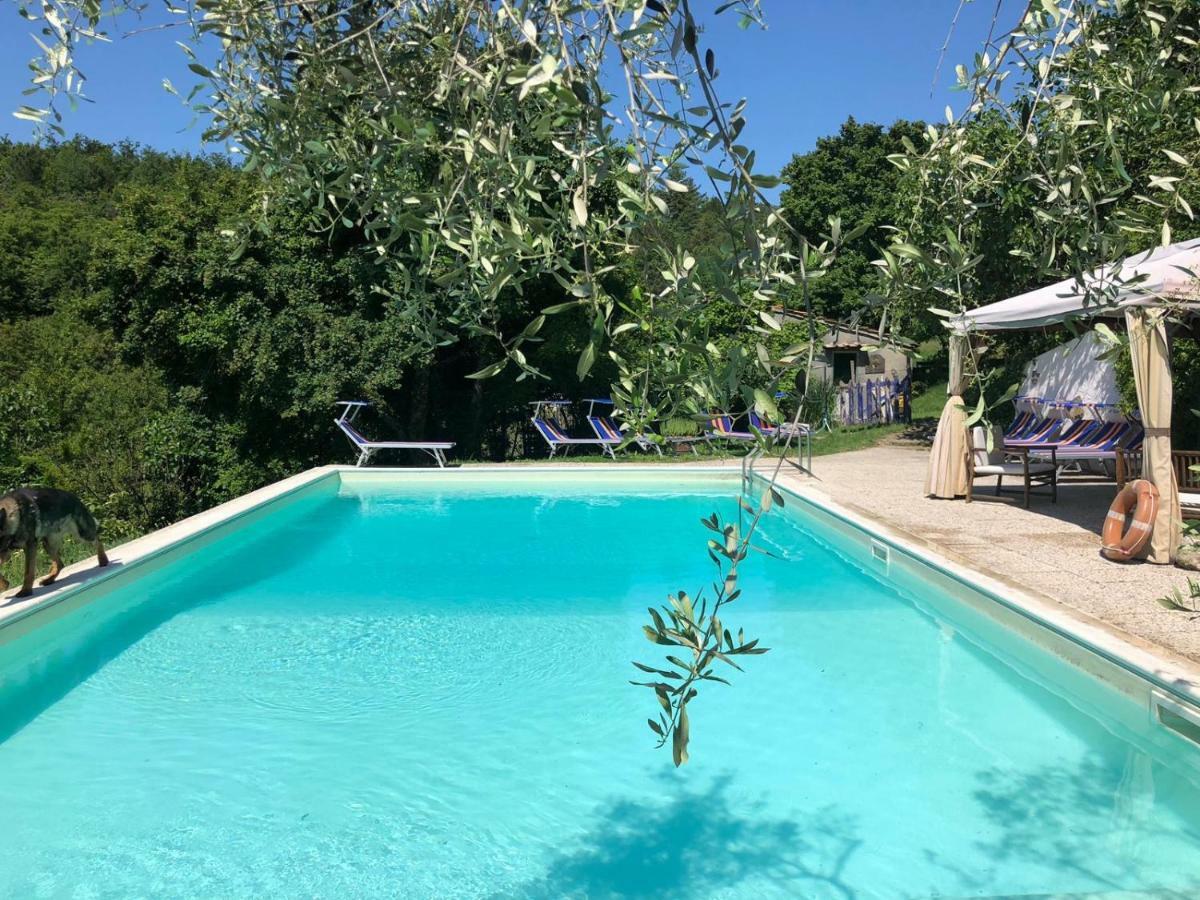 Ala Di Maniero In Agriturismo Valdrago In Toscana, Nel Verde Mugello Sulle Colline Di Firenze Borgo San Lorenzo Extérieur photo